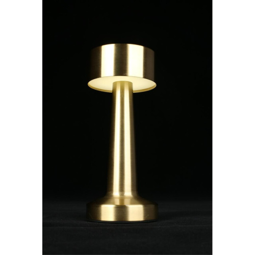 Настольная лампа APL.671.04.01 фото 12 Настольная лампа APL.671.04.01 фото 12