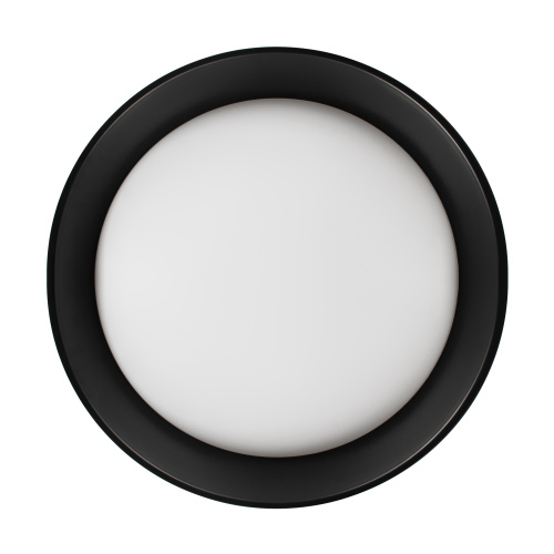 10202 BB  Потолочный светильник  LOFT IT Coin фото 4