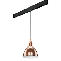 Комплект с трековым светильником Lightstar Loft (765013+595007) PRO765013