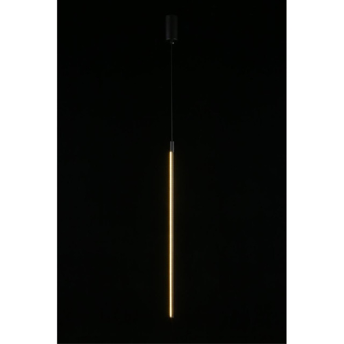 Светильник подвесной APL.0123.06.15 фото 12