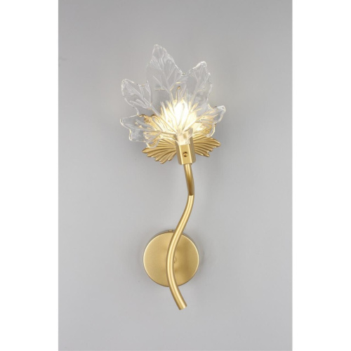 Светильник настенный (Бра) OML-52701-01 фото 7