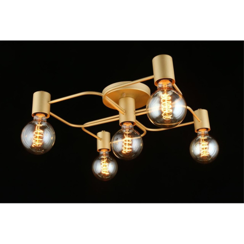 Люстра потолочная APL.911.07.05 фото 4