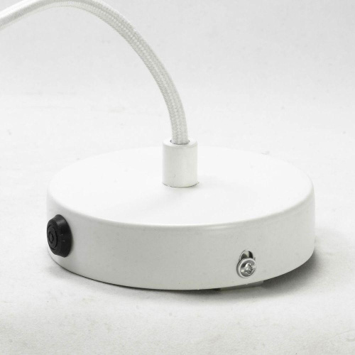 Подвесной светильник Lussole Loft Tanaina GRLSP-9559 фото 3