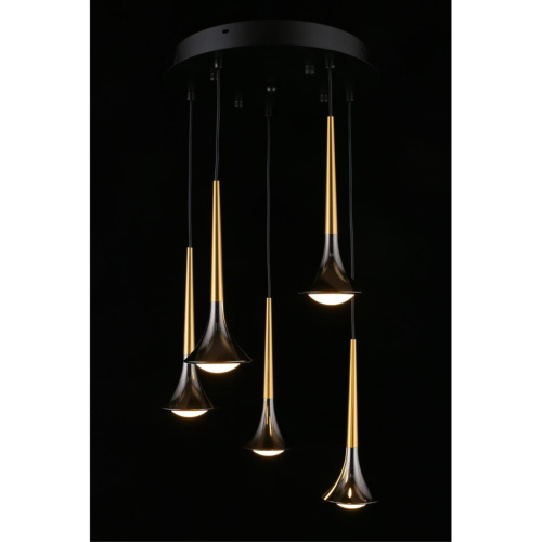 Люстра подвесная APL.784.06.05 фото 9