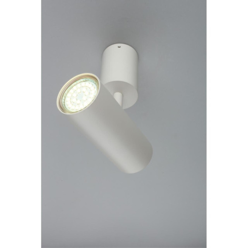 Светильник настенно-потолочный APL.007.02.01 фото 8