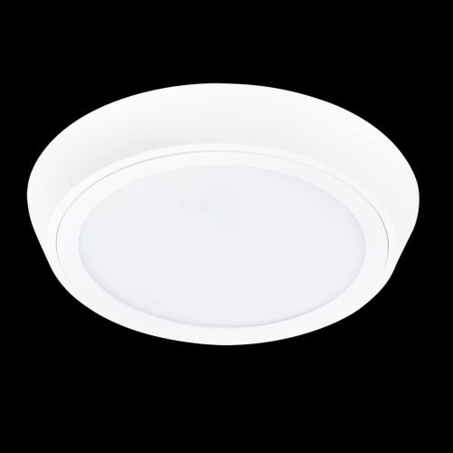Потолочный светодиодный светильник Lightstar Urbano 216904 фото 2