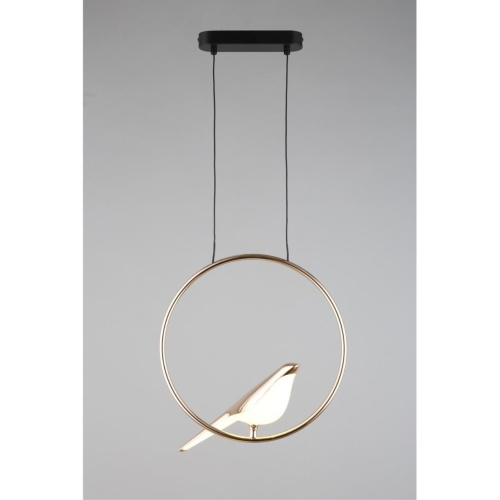 Светильник подвесной APL.822.06.10 фото 2