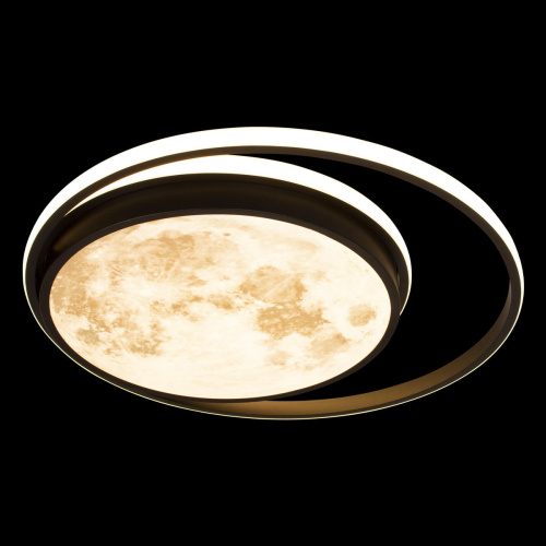 10217 Потолочный светильник LOFT IT Luna фото 4 10217 Потолочный светильник LOFT IT Luna фото 4