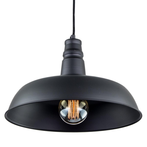Подвесной светильник Citilux Эдисон CL450204 фото 4