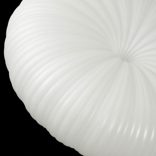 Потолочный светодиодный светильник Lussole Claudia LSP-0921 фото 2