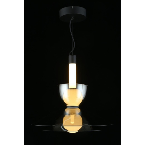 Светильник подвесной APL.772.16.12 фото 4