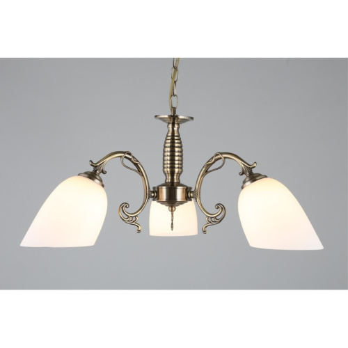 Люстра подвесная OML-56407-03 фото 5 Люстра подвесная OML-56407-03 фото 5