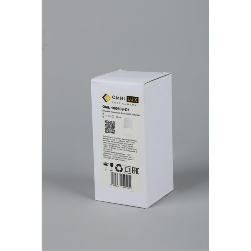 Светильник встраиваемый-накладной OML-100609-01 фото 5 Светильник встраиваемый-накладной OML-100609-01 фото 5