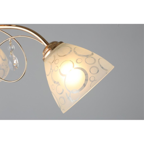 Люстра потолочная OML-29007-03 фото 6