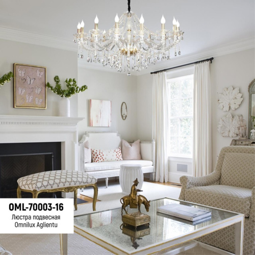 Люстра подвесная OML-70003-16 фото 4 Люстра подвесная OML-70003-16 фото 4