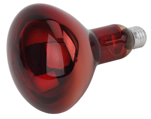 Лампа инфракрасная ЭРА E27 150 Вт для обогрева животных и освещения ИКЗК 230-150 R127 Б0055441 фото 4