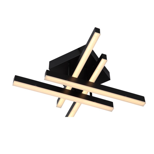 SL933.402.04 Люстра потолочная ST-Luce Черный/Черный, Белый LED 1*22W 3000K/4000K/6000K SAMENTO фото 12