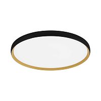 SLE1810-402-01 Светильник потолочный Черный, Золотистый/белая LED 1*42W 4000K HELST