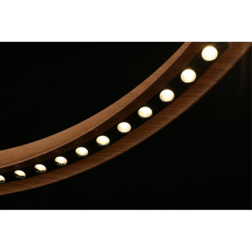 Люстра подвесная APL.787.03.75 фото 12