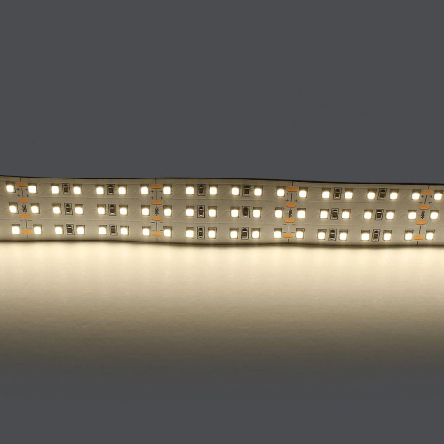Светодиодная лента Lightstar 44W/m 360LED/m дневной белый 5M 423004 фото 2