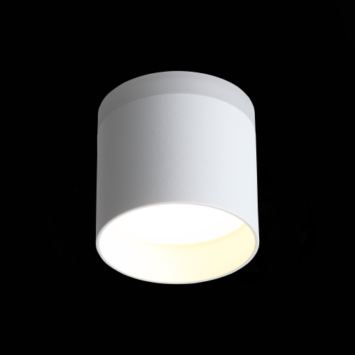 ST102.502.09 Светильник потолочный Белый LED 1*9W 3000K 702Lm Ra>80 120° IP20 D79xH75 170-240V Накладные светильники фото 7