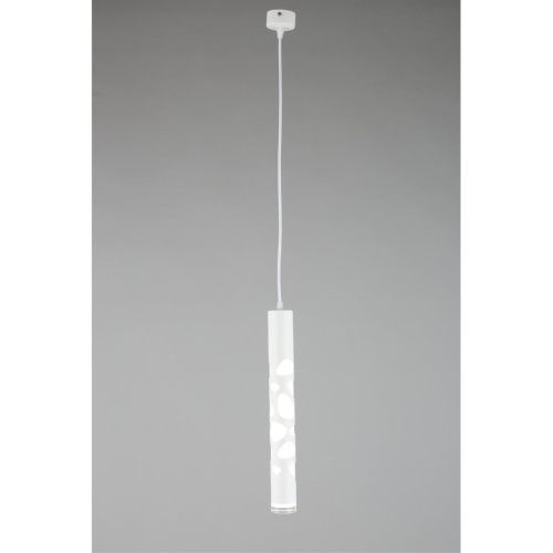 Светильник подвесной OML-101606-20 фото 5