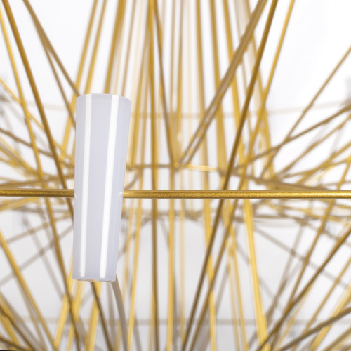 10476 Gold Подвесной светильник LOFT IT Coppelia фото 5