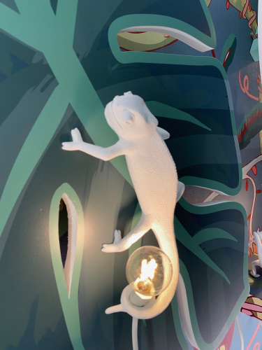 Настенный светильник Chameleon Going Up USB фото 6