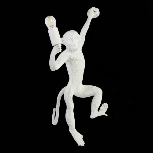 SLE115111-01 Светильник настенный Белый E27 1*60W TENATO фото 5