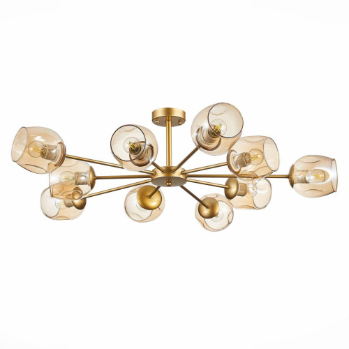 Потолочная люстра Evoluce Pallo SLE155412-10 Потолочная люстра Evoluce Pallo SLE155412-10