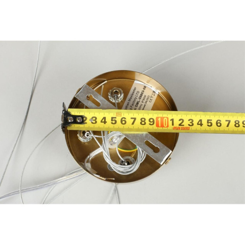 Люстра подвесная OML-59803-08 фото 5