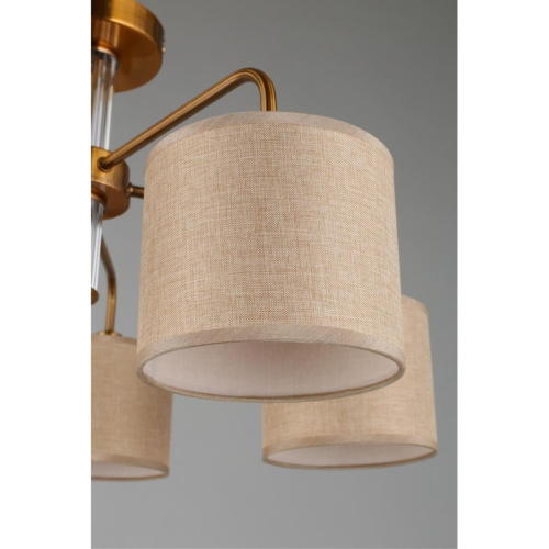 Люстра потолочная OML-56907-05 фото 3