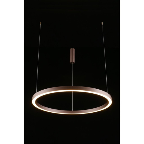 Люстра подвесная APL.025.03.60 фото 14