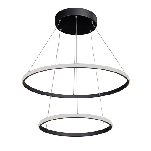 Подвесная люстра Vitaluce V04600-13/2S Подвесная люстра Vitaluce V04600-13/2S