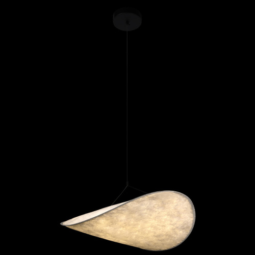 10347/M Подвесной светильник LOFT IT Tense фото 4