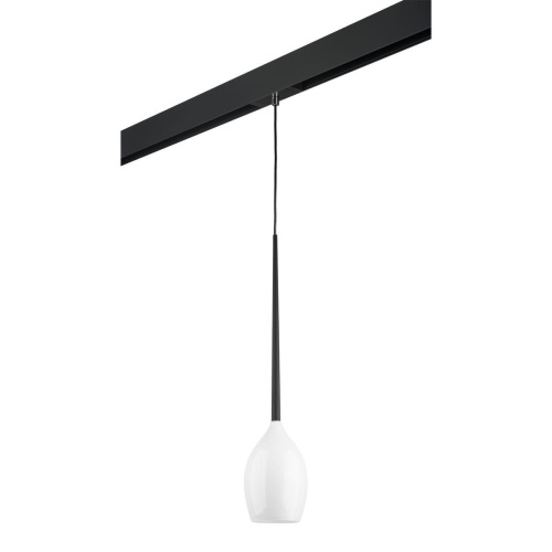 Комплект с трековым светильником Lightstar Meta d'uovo (807110+595007) PRO807110