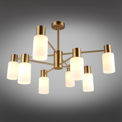 Люстра потолочная OML-69107-08 фото 3