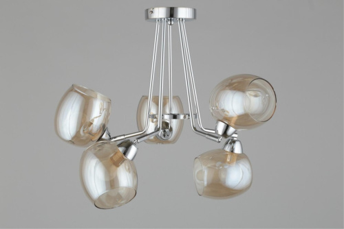 Люстра потолочная OML-27307-05 фото 11