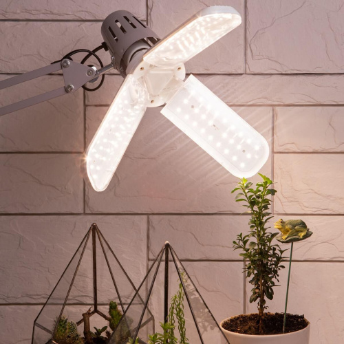 Фитолампа для растений ЭРА E27 24 Вт FITO-24W-Ra90-FOLD Б0057285 фото 11