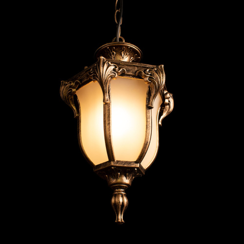 100017P Уличный подвесной светильник LOFT IT Alessano фото 3