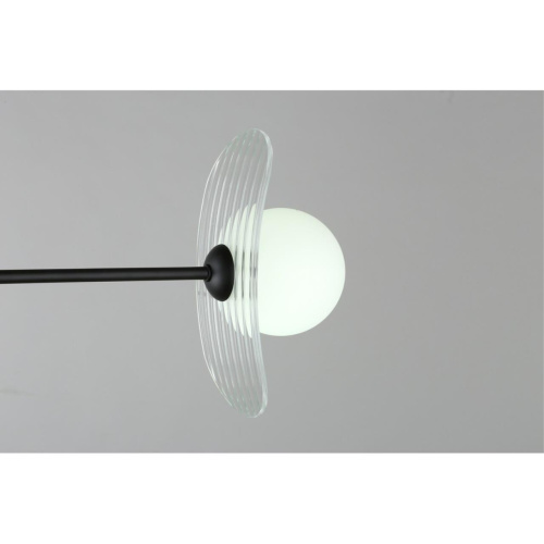 Люстра потолочная OML-51107-06 фото 9