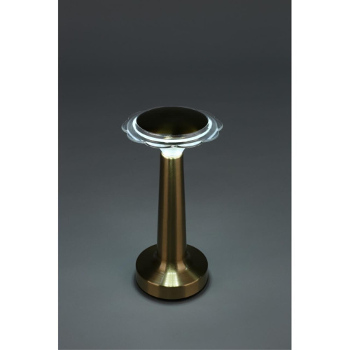 Настольная лампа OML-40204-01 фото 12