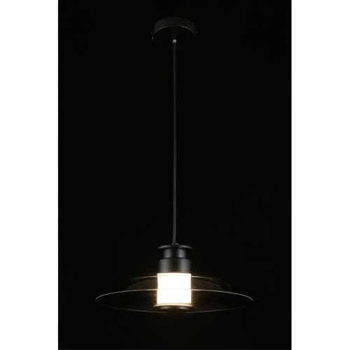 Светильник подвесной APL.648.06.10 фото 13