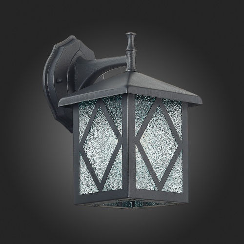 SL084.411.01 Светильник уличный настенный ST-Luce Черный/Черный, Прозрачный E27 1*60W LORNE фото 6