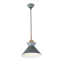 Подвесной светильник Escada 1106/1S E27*40W Grey