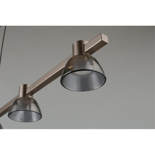 Люстра подвесная APL.788.03.06 фото 15