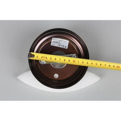 Люстра подвесная OML-66003-08 фото 8