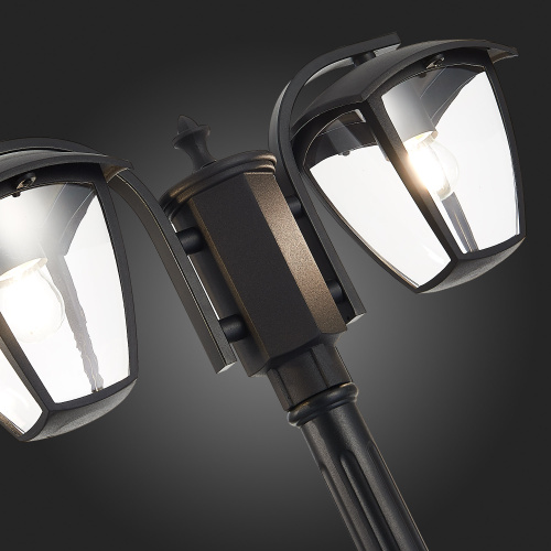 SL081.405.02 Светильник уличный наземный ST-Luce Черный/Черный, Прозрачный E27 2*40W SIVINO фото 12