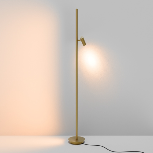 Напольный светильник (торшер) Maytoni MOD395FL-L28BS3K фото 11