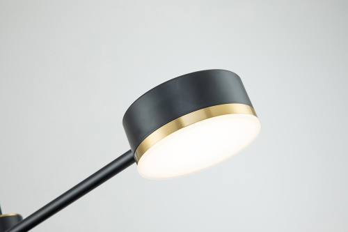 Потолочный светильник Escada 10246/6 LED*56W Black/Gold фото 7 Потолочный светильник Escada 10246/6 LED*56W Black/Gold фото 7